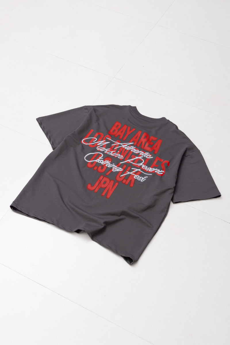 EMBROIDERED PRINT T-SHIRT