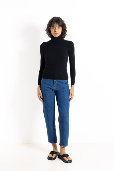 RIBBED KNIT TURTLE NECK TOP
