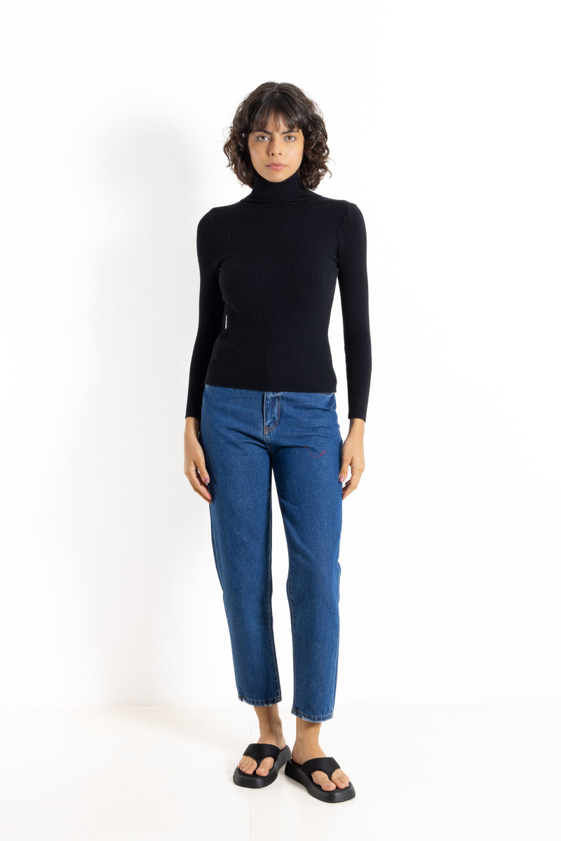 RIBBED KNIT TURTLE NECK TOP