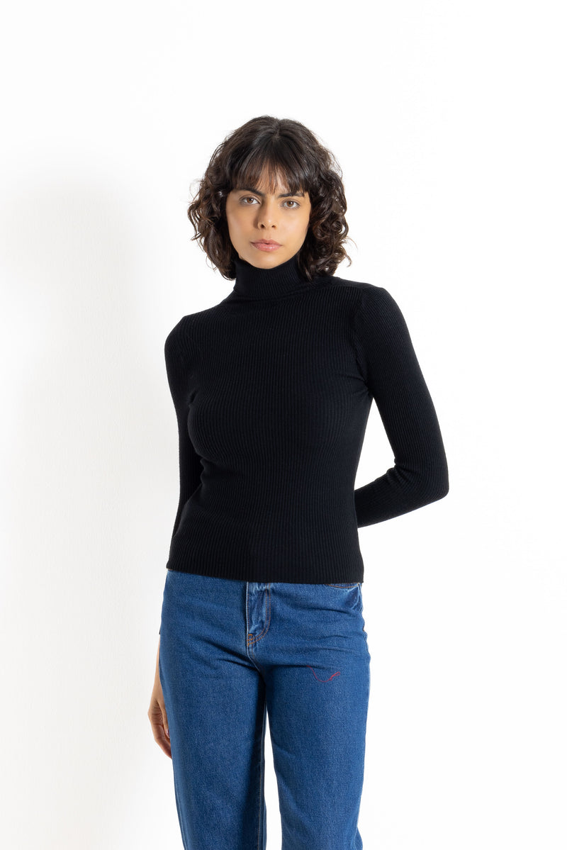 RIBBED KNIT TURTLE NECK TOP